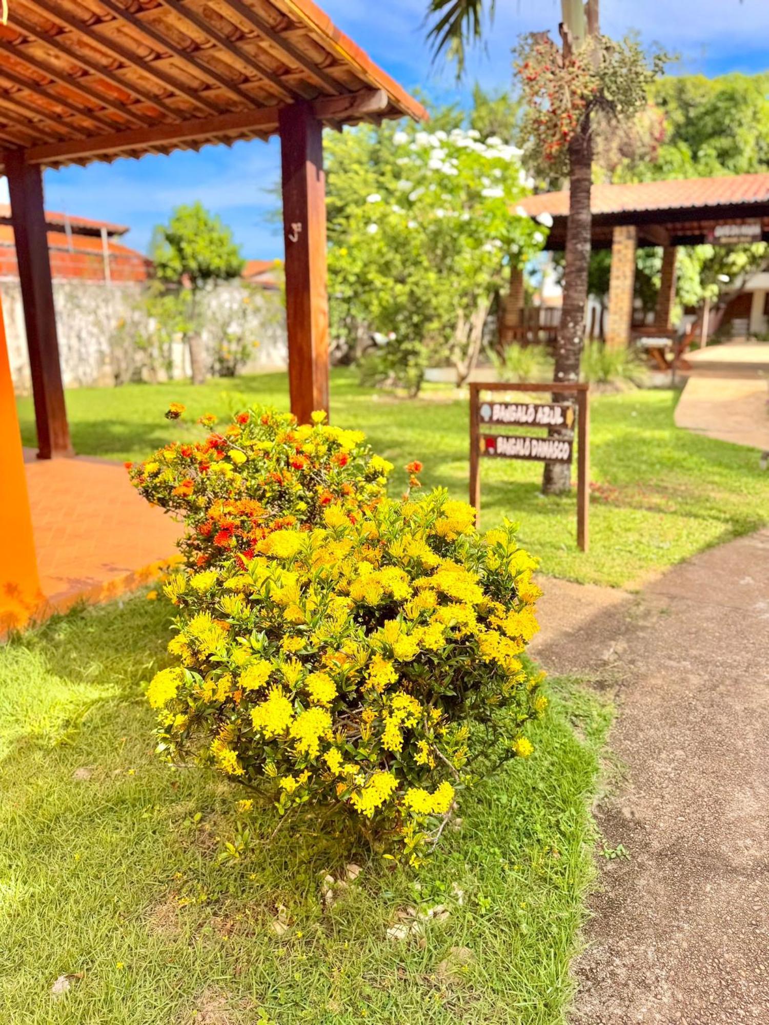 Pousada Vila Caju Sao Miguel do Gostoso Exterior photo